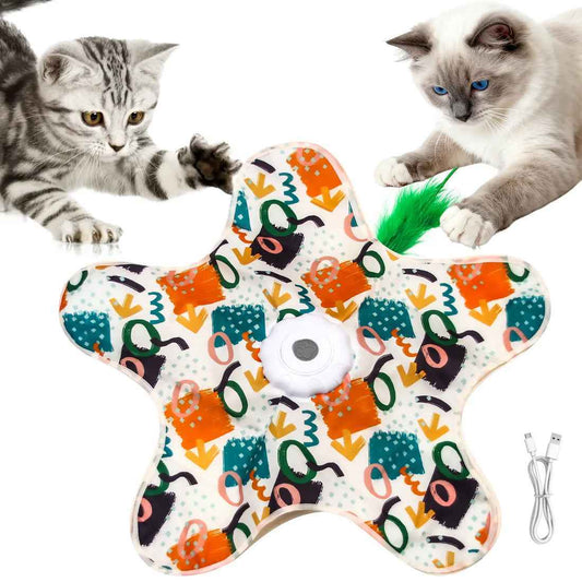 🐱Interactive Hide-and-Seek Cat Toy
