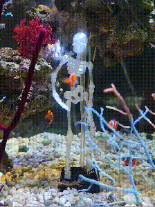 💀Dancing Skeleton Aquarium Dancing Skeleton Aquarium Ornament🫧