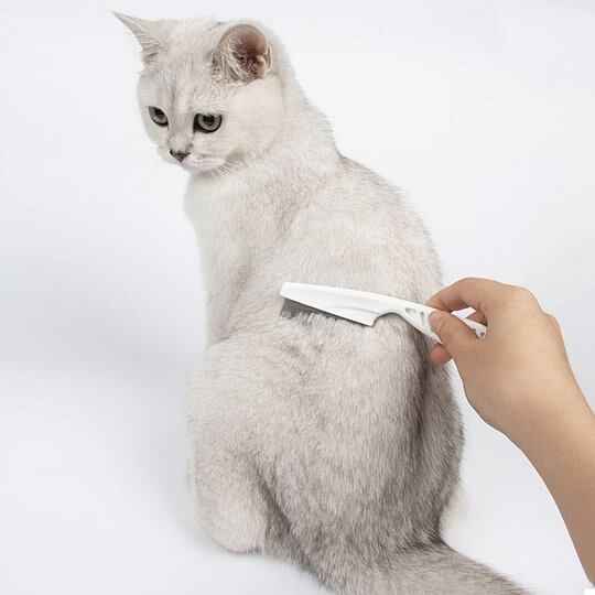 🔥Multifunctional Pet Hair Comb Flea and Tear Stain Removal 2 Pcs