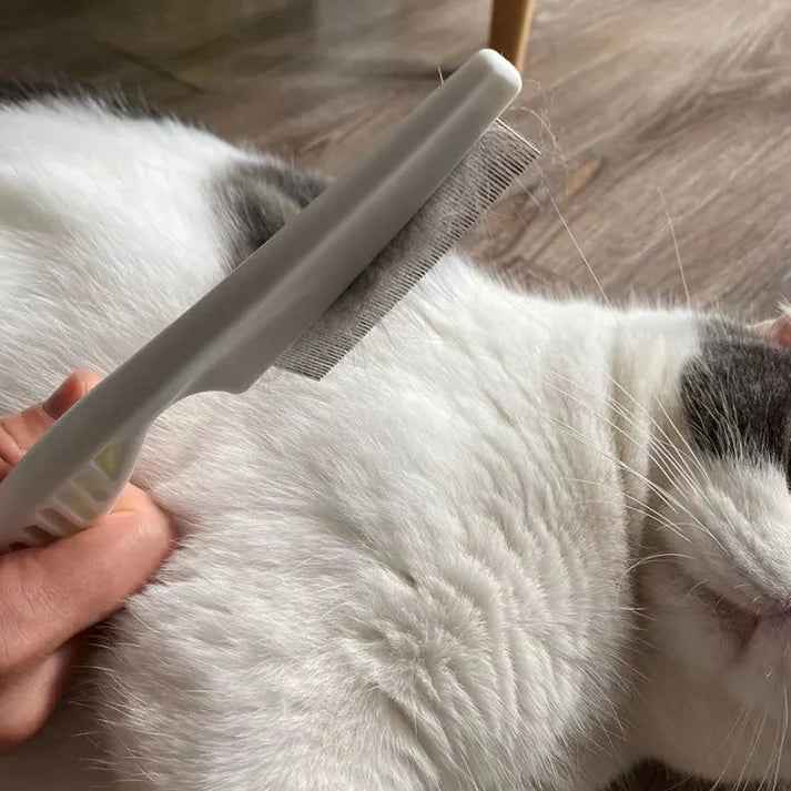 🔥Multifunctional Pet Hair Comb Flea and Tear Stain Removal 2 Pcs