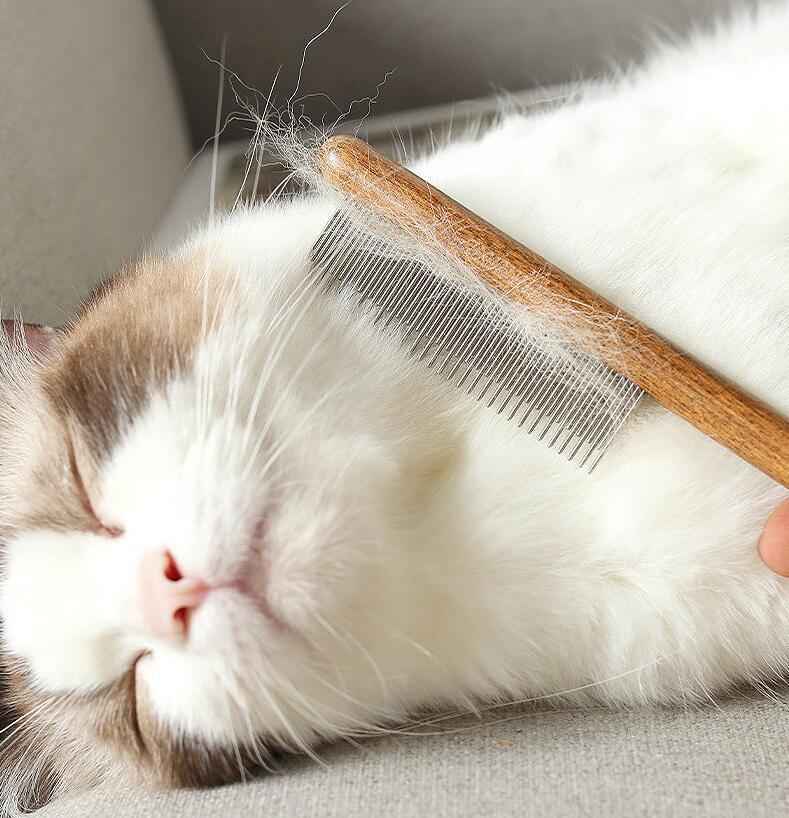 🔥Multifunctional Pet Hair Comb Flea and Tear Stain Removal 2 Pcs