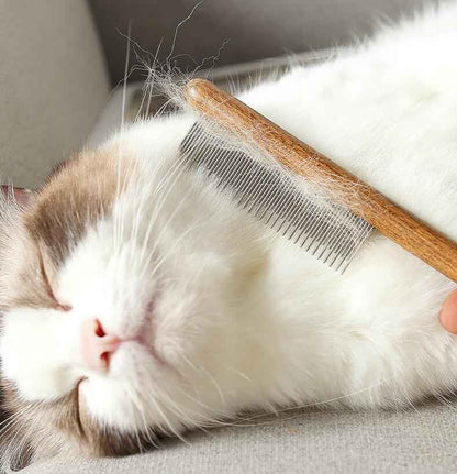 🔥Multifunctional Pet Hair Comb Flea and Tear Stain Removal 2 Pcs