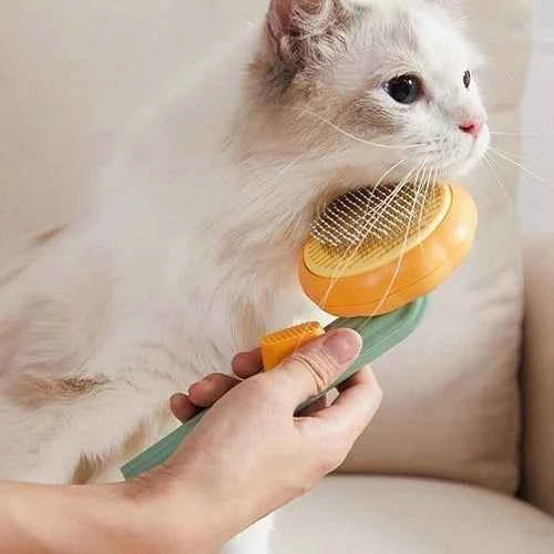 🎃Pumpkin Pet Grooming Tool Pet Remove Hair Brush