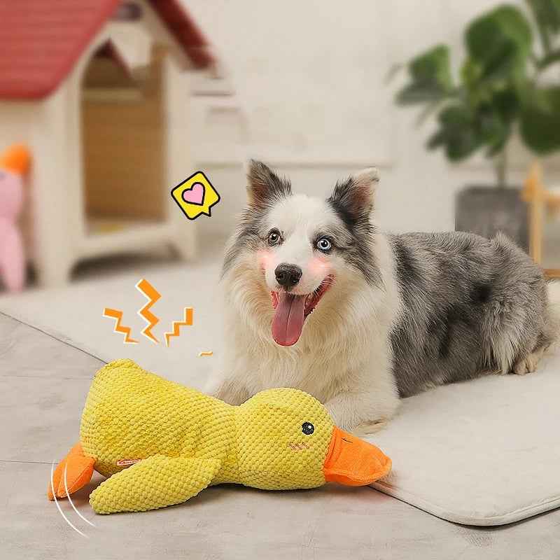 🦆Quack-Quack Duck Dog Toy